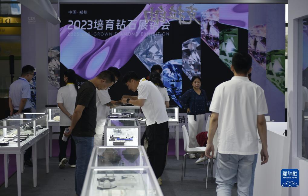 大富豪单机游戏